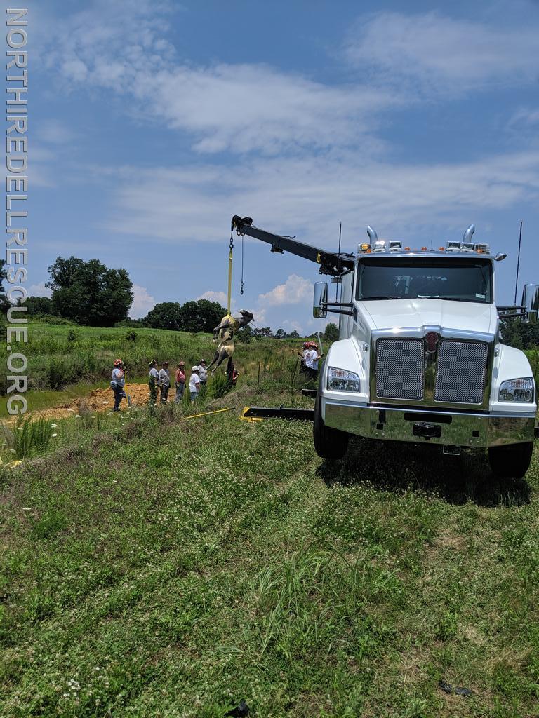 Large Animal Rescue 